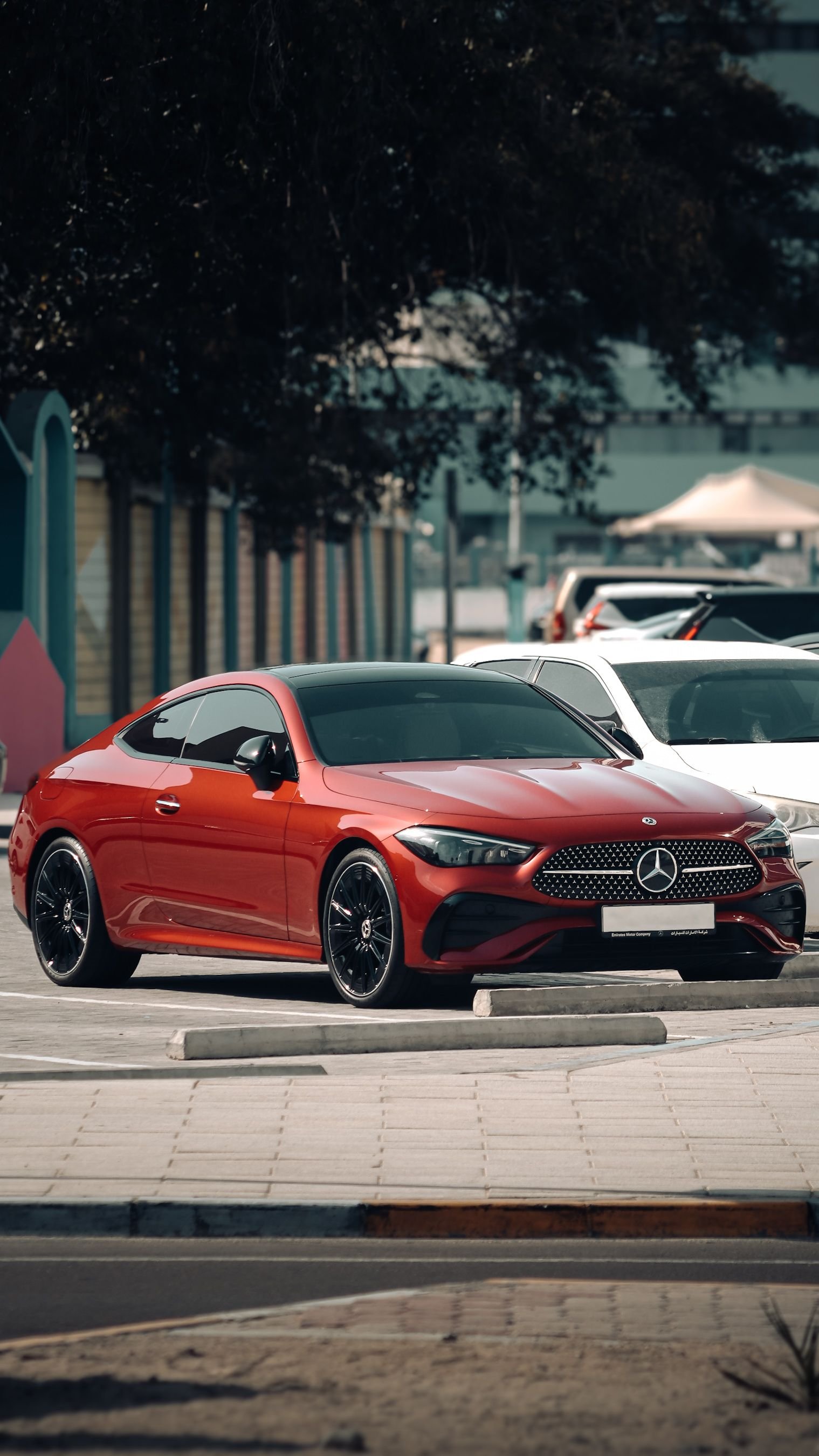 Luxury Lifestyle - Sports Car